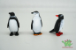 Preview: Safari Ltd. Pinguin Bundle